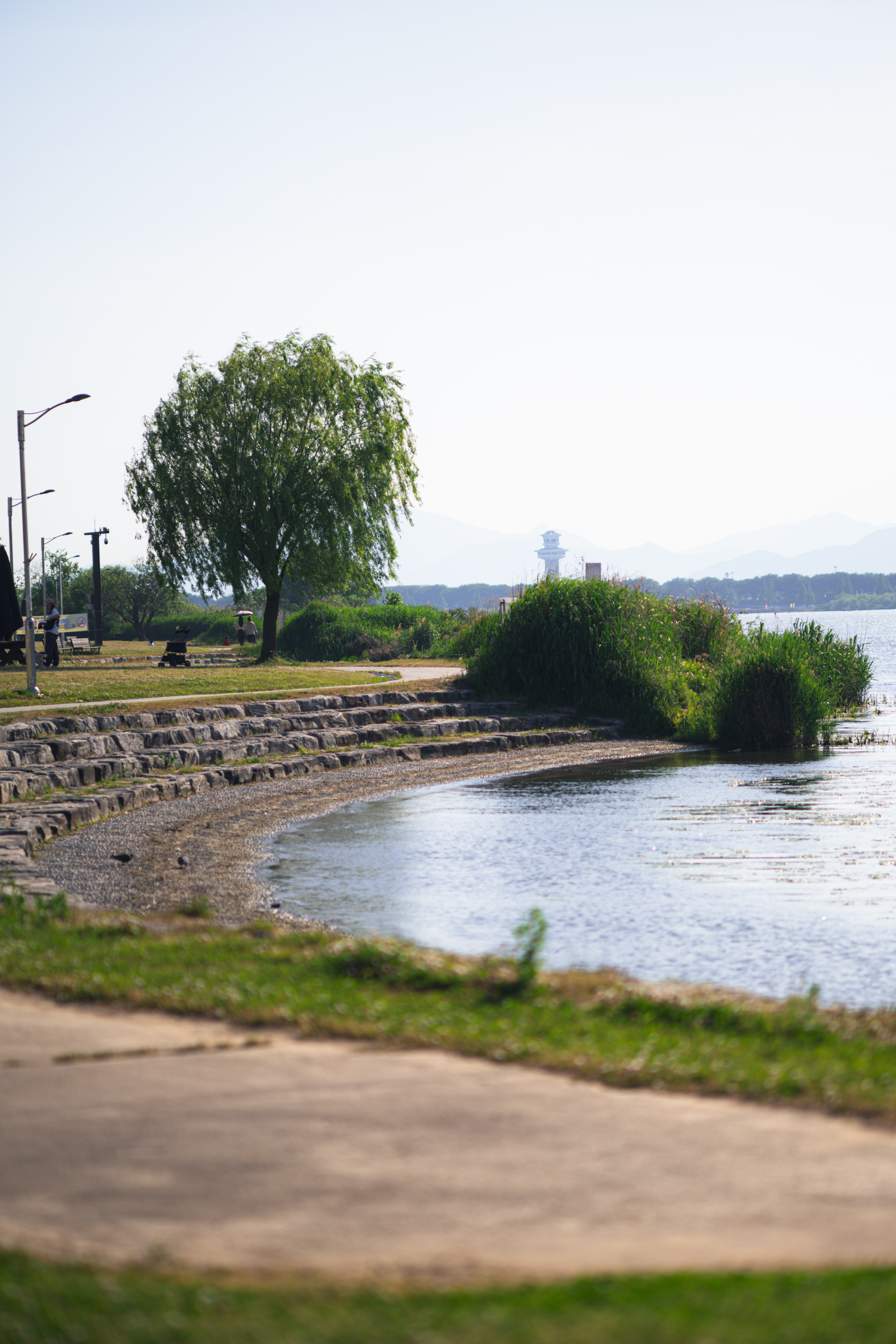 Landscape 5